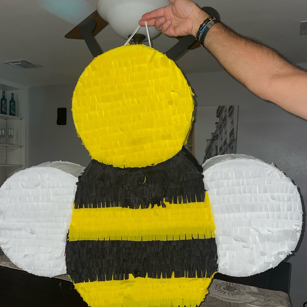 Pinata - Picture 2 of 2